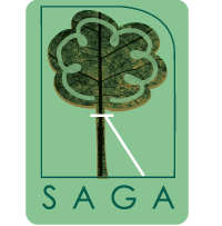 saga